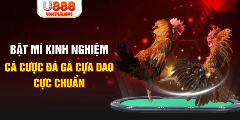 f8bet25 trong baccarat, ai là người chia bài chính？