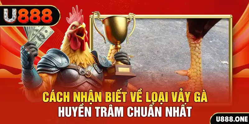 f8bet25 Chú hề Patty tuổi teen