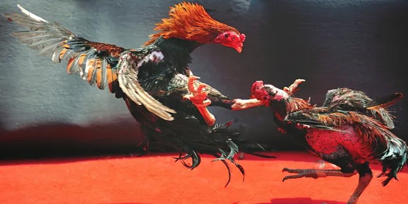 f8bet25 đăng nhập nổ hũ số 1