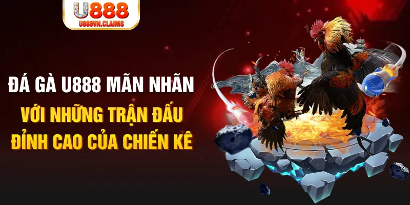 f8bet25 kết quả xổ số miền bắc ngày hôm nay