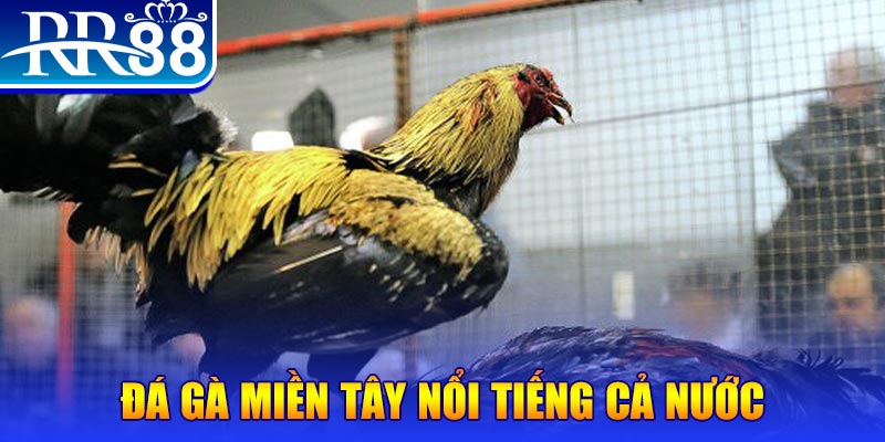 f8bet25 đăng nhập liêng miễn phí
