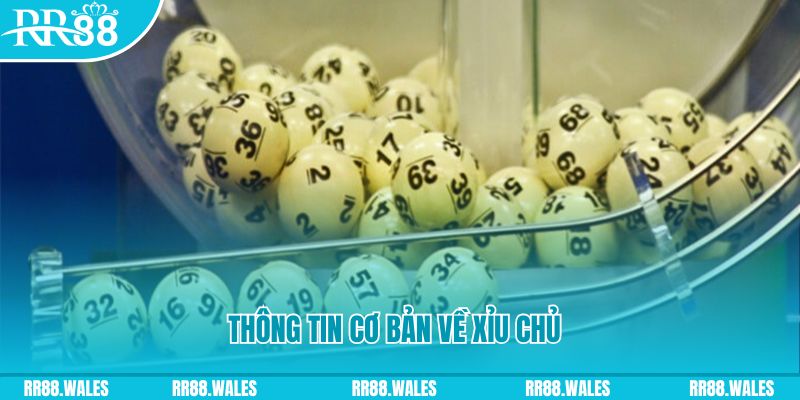 f8bet25 baccarat long bảo là gì