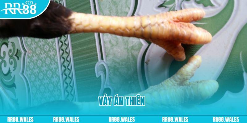 f8bet25 who wants to be a millionaire slot