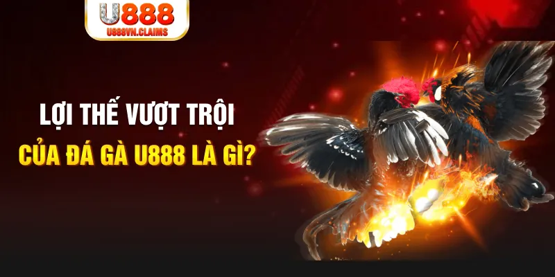 f8bet25 888 slot là gì
